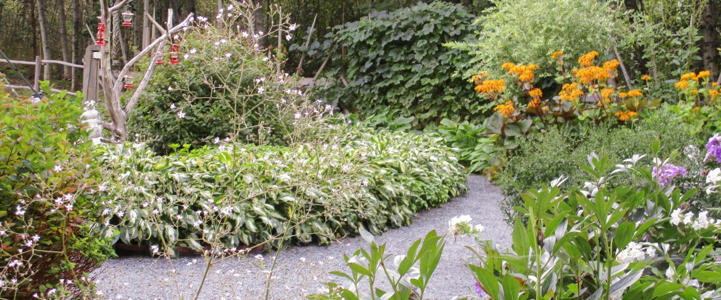 Kaunis puutarhan polku