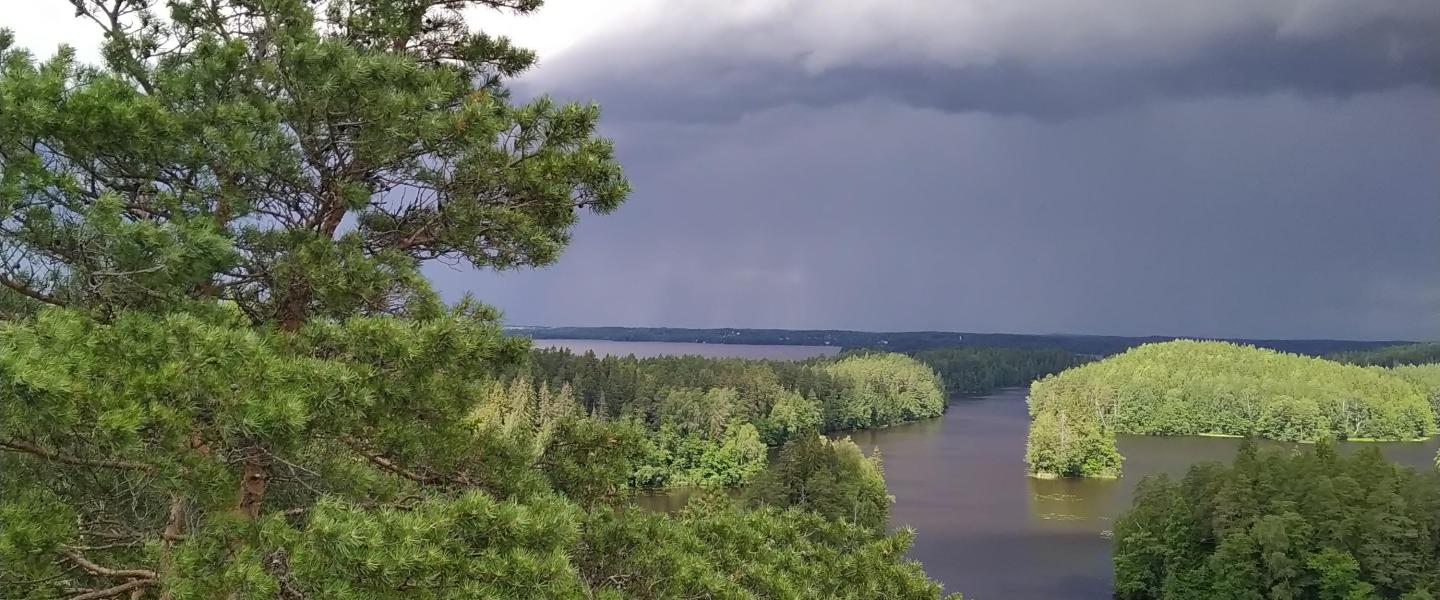 tammela_kaukolanharjunnäkötorni